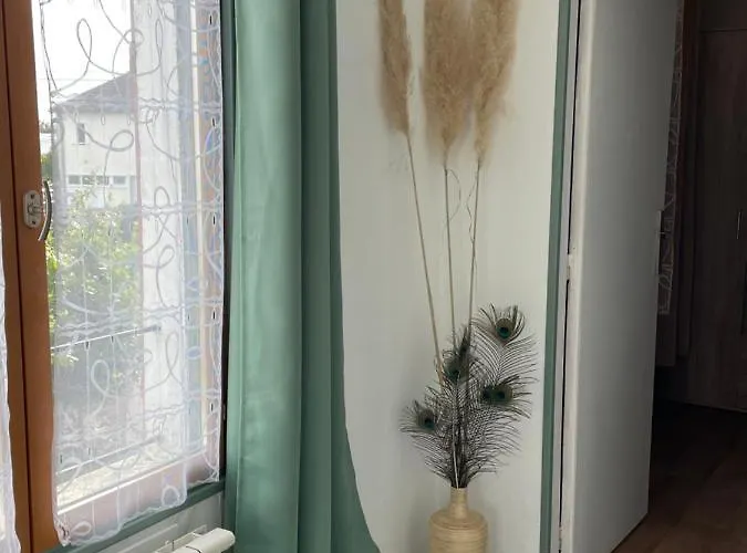 35 M2 1er Etage 200 M De La Avec Jardin Apartamento *