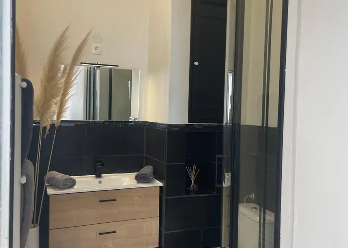 Apartamento 35 M2 1er Etage 200 M De La Avec Jardin