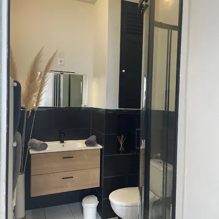 아파트 35 M2 1er Etage 200 M De La Avec Jardin