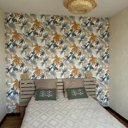 35 M2 1er Etage 200 M De La Avec Jardin דירה *